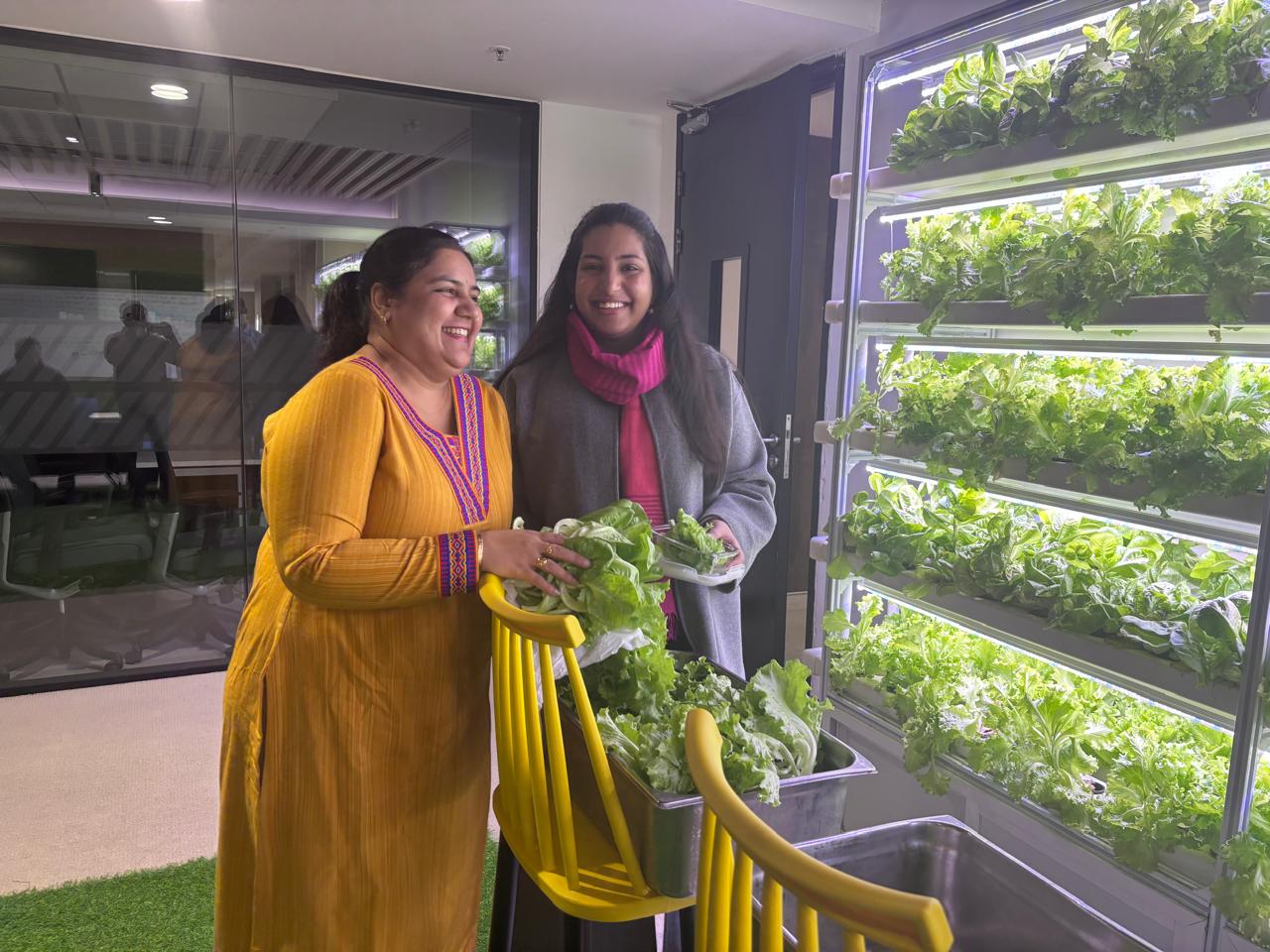 Employee wellness programs