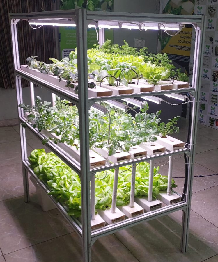 TarUshaFlagship Passive Hydroponic Kit