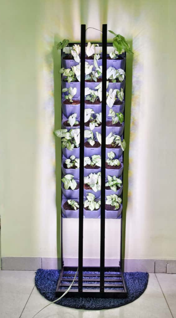 Premium TarUshaHydroponics Setup Growing Greens Indoors