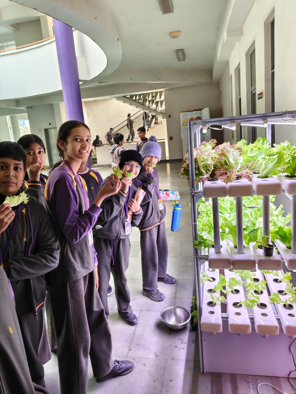 Experiential school hydroponics STEM programs