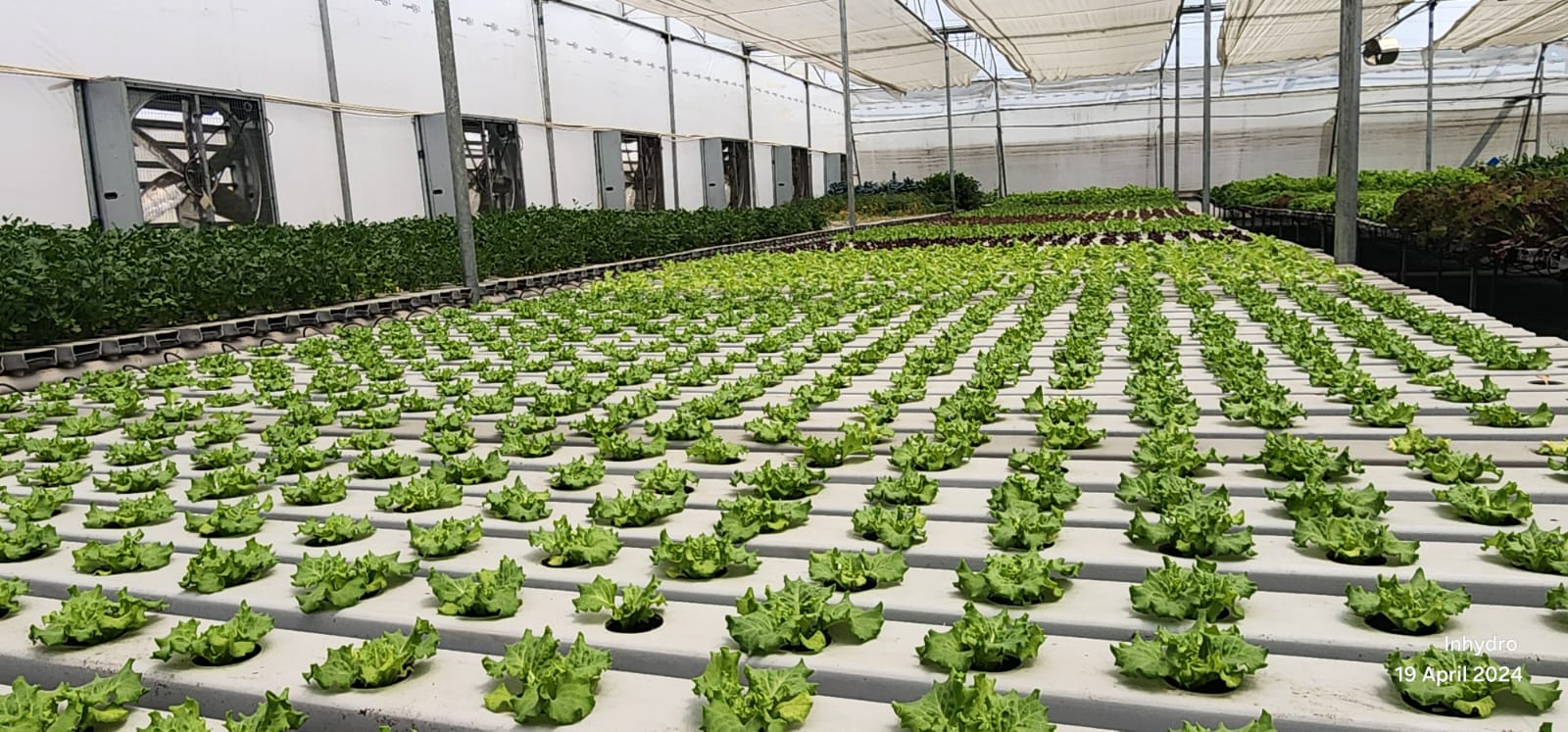 Custom setups for commercial farms